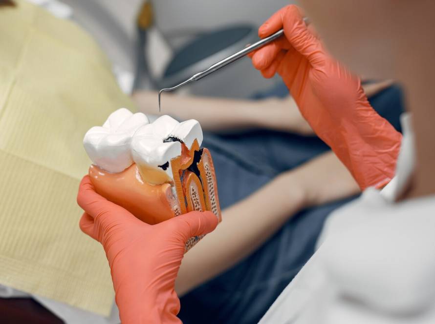 What is Endodontics